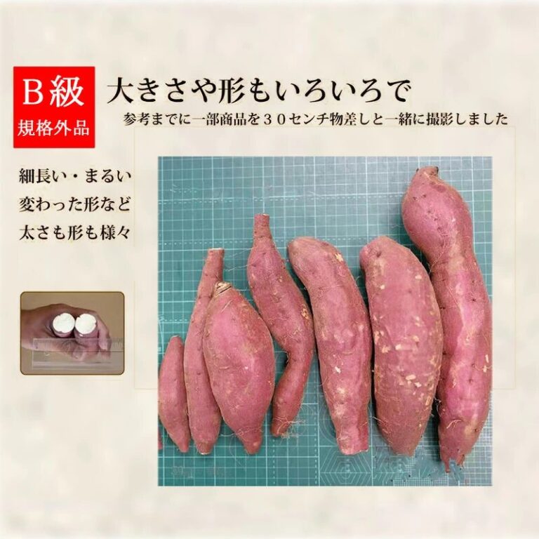 さつまいも ５KG、訳あり品or Mサイズor Lサイズ　紅はるか 紅東 或いはシルクスイート サツマイモ 焼き芋に 千葉県・茨城県産地厳選 秀品 美味しい やきいもに 食物繊維 美容 スイーツ